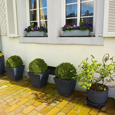 Pearl - King Bed - Netflix - Projector - Fast Wi-fi Apartment