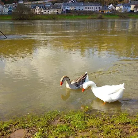 Pearl - King Bed - Netflix - Projector - Fast Wi-fi アパート