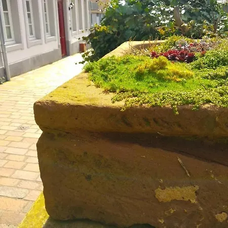 Pearl - King Bed - Netflix - Projector - Fast Wi-fi アパート トリーア