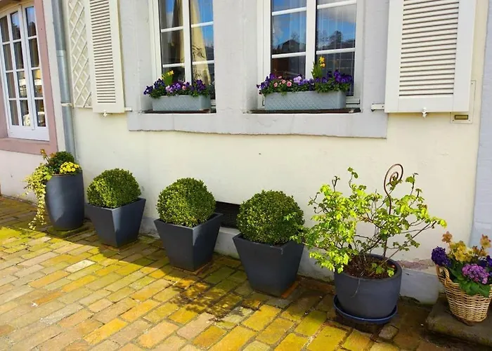 Pearl - King Bed - Netflix - Projector - Fast Wi-fi Apartment