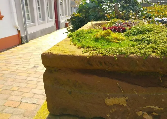 Pearl - King Bed - Netflix - Projector - Fast Wi-fi Lejlighed Trier